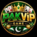 PAKVIP Game logo featuring modern gaming-style branding for the PAKVIP mobile gaming platform.